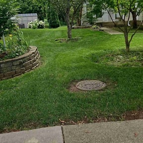 yard service by B&R Elite Lawn Services reviewed on August 21, 2025