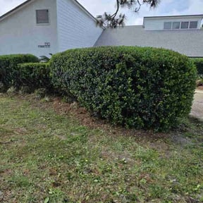 Bush Trimming by Girard's Lawn Care reviewed on August 21, 2025