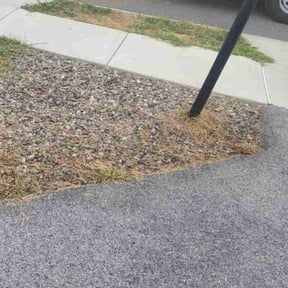 Flower Bed Weeding by Elite Lawn Care and Outdoor Services reviewed on October 20, 2025