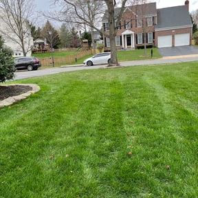 Leaf Removal by Above Blessing Landscaping reviewed on September 10, 2025