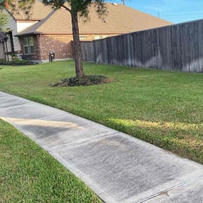 lawn maintenance by Lawns By Lopez reviewed on August 16, 2024