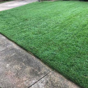 landscaping by Brother's Irrigation and Landscaping reviewed on August 16, 2025