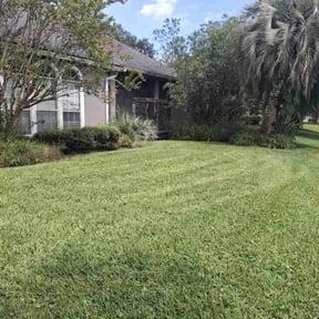 lawn maintenance by Aces cleaning reviewed on September 19, 2023