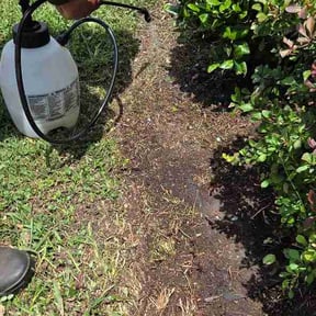 Flower Bed Weeding by Ultimate Landscape Contractor  reviewed on July 7, 2026
