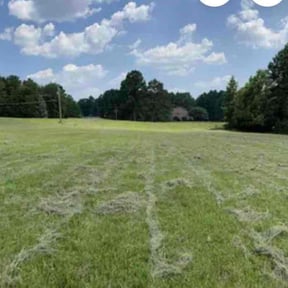 Bush Trimming by Jrs Handyman Services reviewed on August 17, 2025