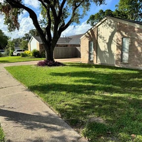 yard care by Three Kings Grounds Keeping reviewed on August 20, 2025