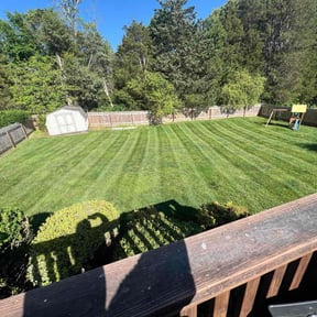 lawn care by JB Lawncare reviewed on July 17, 2025