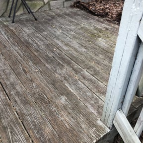 Bush Trimming by Supreme Home Services reviewed on May 2, 2024