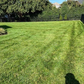 lawn service by SLD Affordable Lawn and Contracting Services reviewed on June 22, 2025