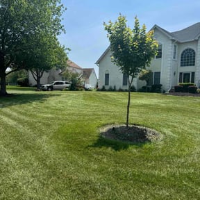 gardening service by All Exclusive reviewed on August 21, 2025