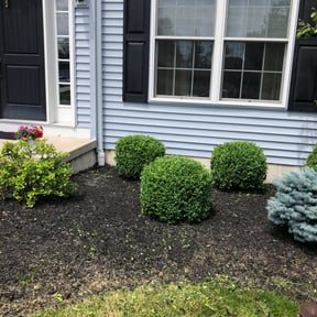 Bush Trimming by Kingz Cut reviewed on April 21, 2024