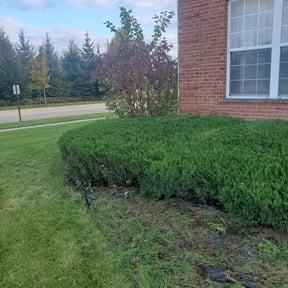 Bush Trimming by Polanco Abel Lawn Care reviewed on May 26, 2025