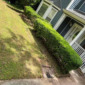 Bush Trimming by Pro grow landscapeing reviewed on August 20, 2025