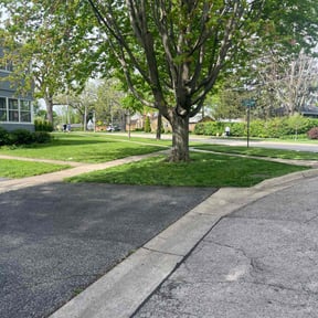 yard maintenance by Torres Lawn Care reviewed on August 21, 2025