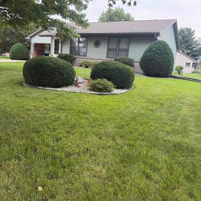 Bush Trimming by Jusus Lawn Care LLC reviewed on August 18, 2026