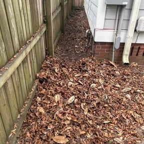 Leaf Removal by Solis Landscaping  &amp; Maintenance LLC reviewed on March 7, 2026