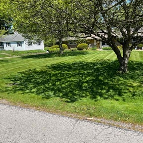 lawn maintenance by Value Lawn Care reviewed on August 17, 2025