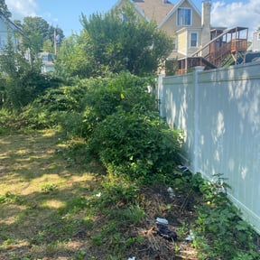 Bush Trimming by Self Made Rich reviewed on August 19, 2025