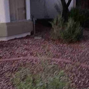 Leaf Removal by West Inn Lawn reviewed on March 7, 2026