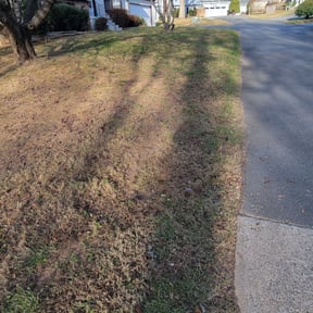 Leaf Removal by Stephen Reynolds reviewed on September 16, 2025