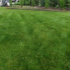 yard work by Jackman&#039;s Lawn Care reviewed on November 22, 2025