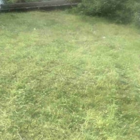 Leaf Removal by J&amp;J lawn service reviewed on October 1, 2025