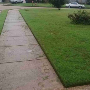lawn care by Gonzalez Landscaping reviewed on March 30, 2024