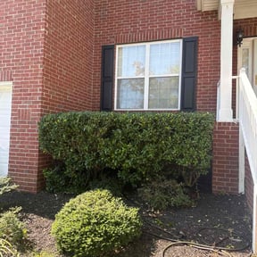 Bush Trimming by Affordable Lawn Services reviewed on October 22, 2025