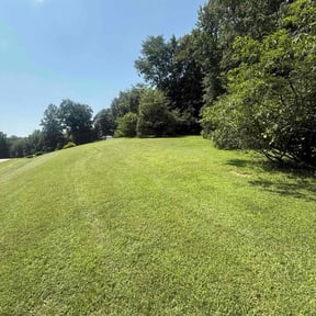 residential landscaping by C &amp; M Lawn Service reviewed on January 20, 2026