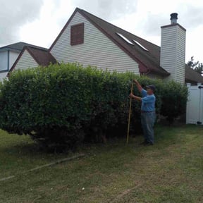 Bush Trimming by Richeasouhait, LLC reviewed on August 16, 2025