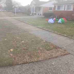 Leaf Removal by Escobar Lawn Care Services reviewed on August 19, 2026
