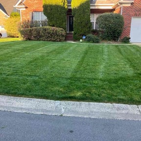 yard care by High Voltage Lawn Care reviewed on December 12, 2025