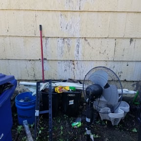 Bush Trimming by ON SITE LAWN SERVICE LLC. reviewed on August 16, 2025