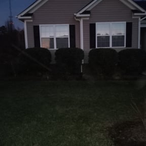 Bush Trimming by LGM Property Associates reviewed on August 16, 2025