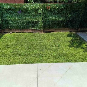 landscaping by Valmont Landscaping and Construction reviewed on August 16, 2025