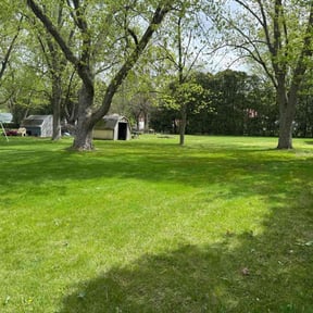 grass cutting by Precision cuts reviewed on August 20, 2025