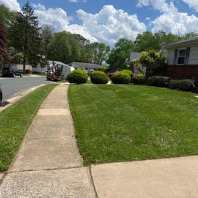 yard work by Danny's lawn service reviewed on August 16, 2025