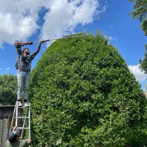 Bush Trimming by Lawn Pro grounds management reviewed on August 21, 2025