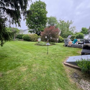 yard maintenance by Keep It Cut Lawn Services reviewed on August 21, 2025