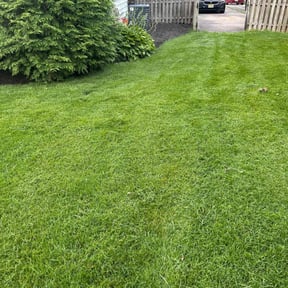 lawn service by Victoria Landscaping, LLc reviewed on August 20, 2025