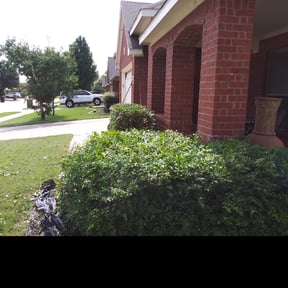 Bush Trimming by H.C.C. Lawn Care reviewed on August 16, 2025