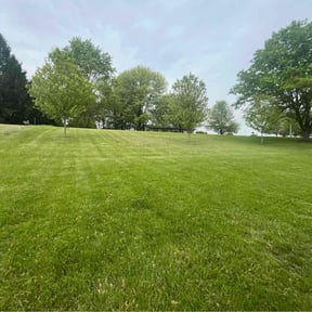 landscaping by J&amp;R LawnCare &amp; Maintenance reviewed on November 21, 2025