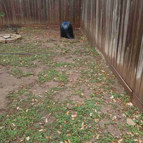 Leaf Removal by GMP Solutions reviewed on May 12, 2026