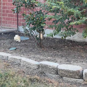 Flower Bed Weeding by Fresh Cut&#039;s Lawn Care reviewed on November 6, 2025