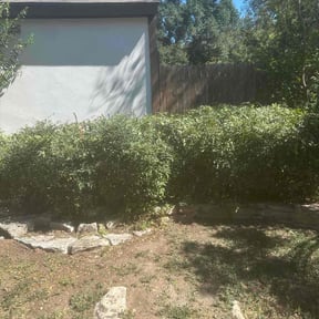 Bush Trimming by Supermen Lawncare reviewed on August 21, 2025