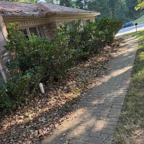 Bush Trimming by Fischer Landscape Design and Lawn Maintenance reviewed on December 24, 2025