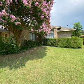 Bush Trimming by Grade A Mowing INC reviewed on August 21, 2025