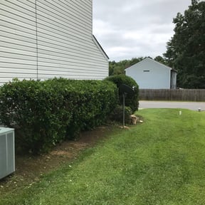 Bush Trimming by Country Neighbor Construction, Maintenance, &amp; Repair reviewed on November 19, 2025