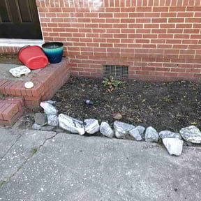 Flower Bed Weeding by Mow Me Down reviewed on December 4, 2025