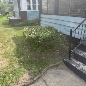 Bush Trimming by LI LawnCare reviewed on August 17, 2025